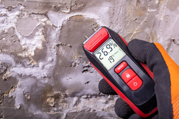 Best Commercial Mold Removal  in Affton, MO